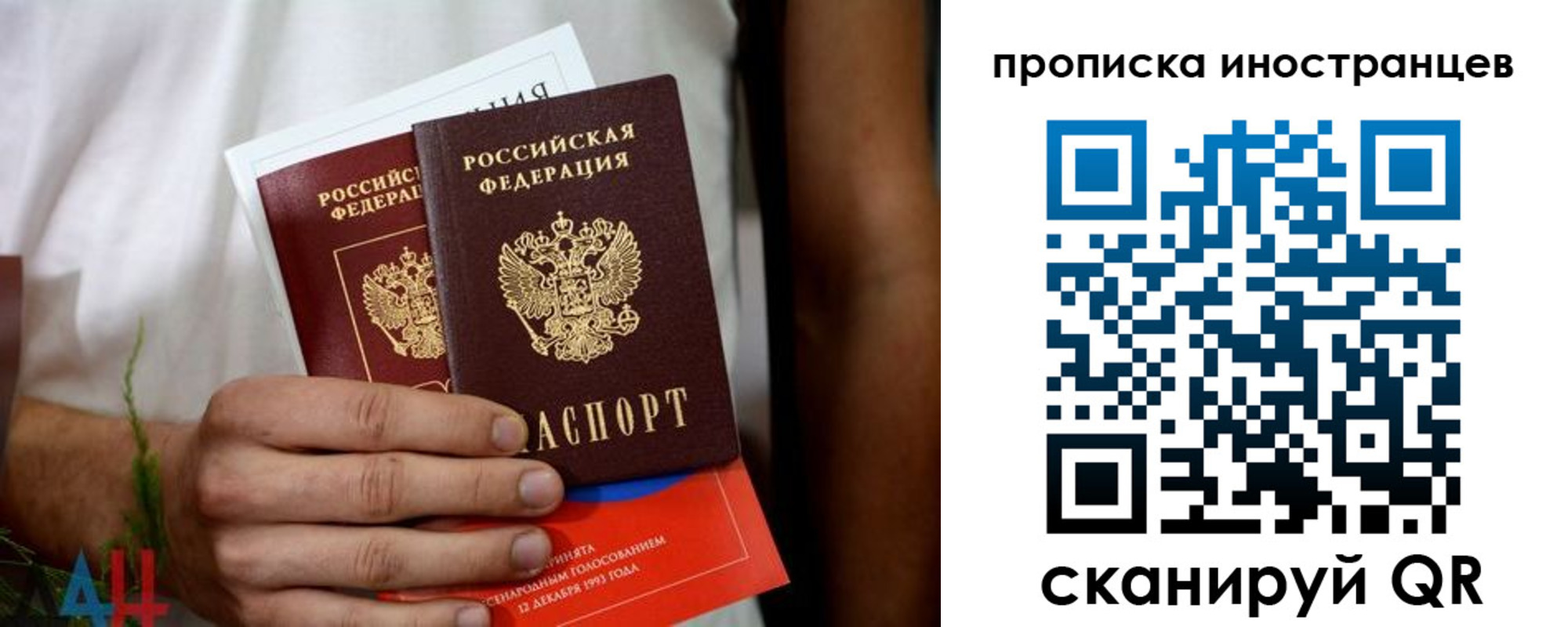 временная регистрация надежно в Дубне